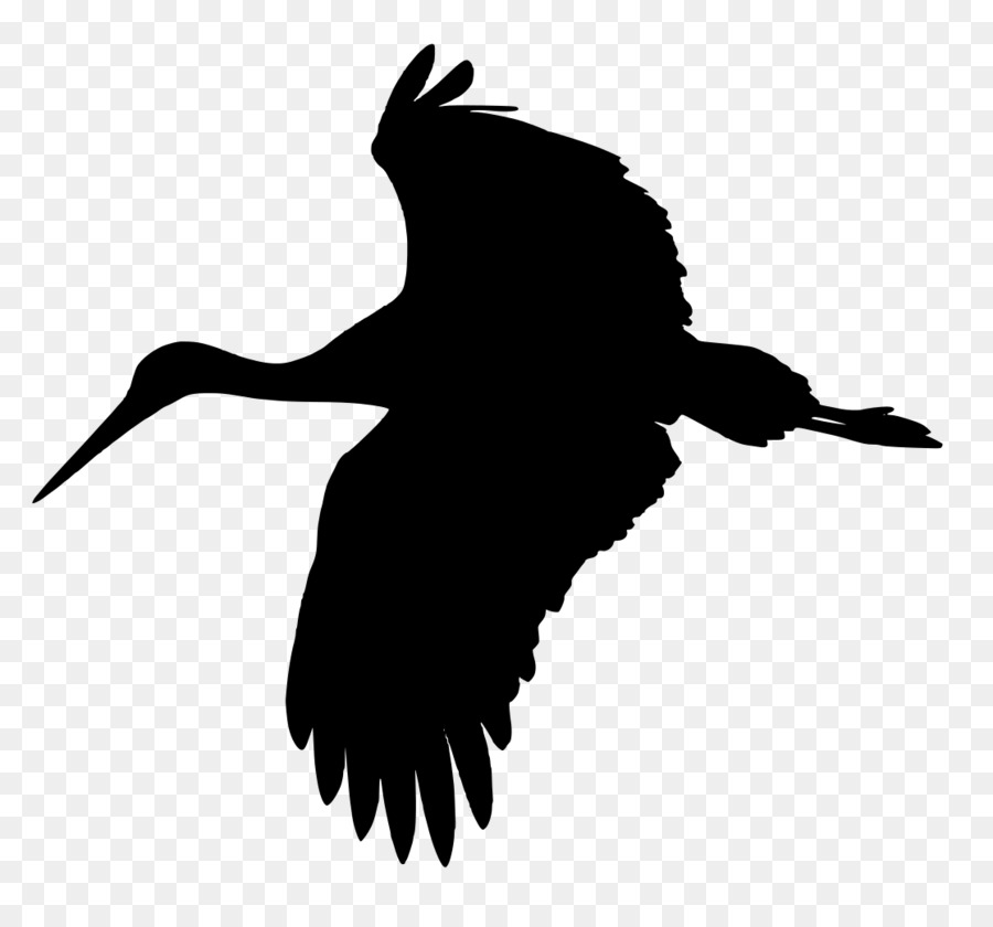 Silhouette D'oiseau，Oiseau PNG