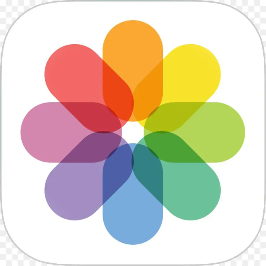 Icône De Fleur Colorée，Application PNG