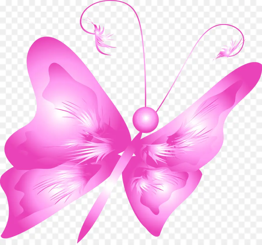 Papillon，Dessin PNG