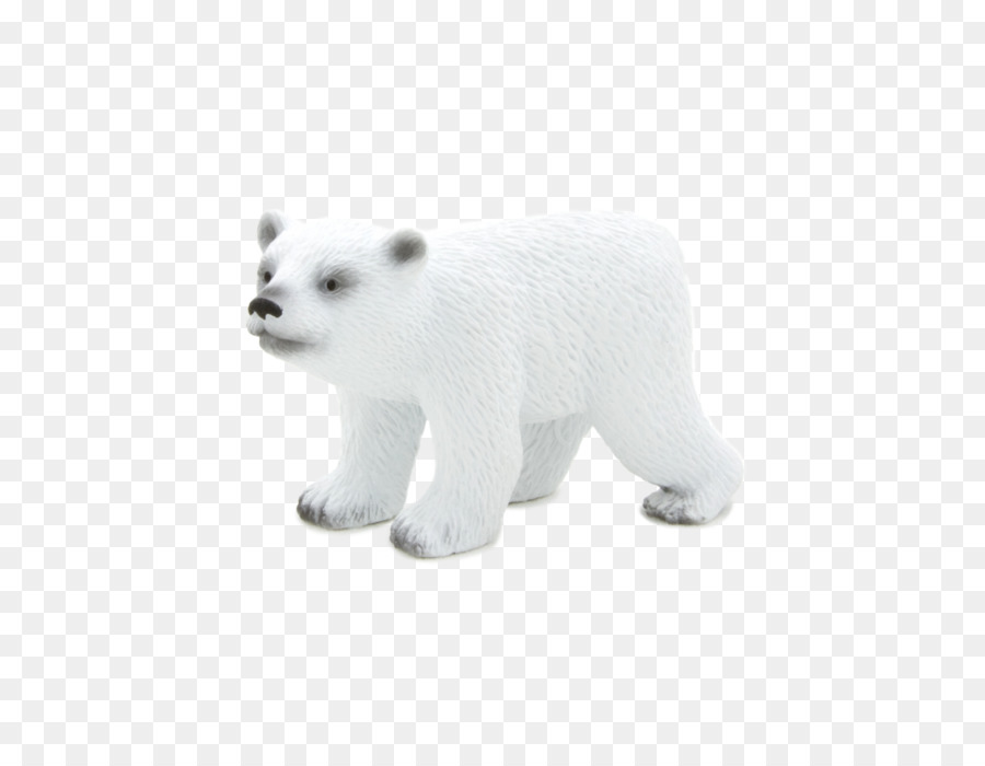 Ours Blanc，Blanc PNG