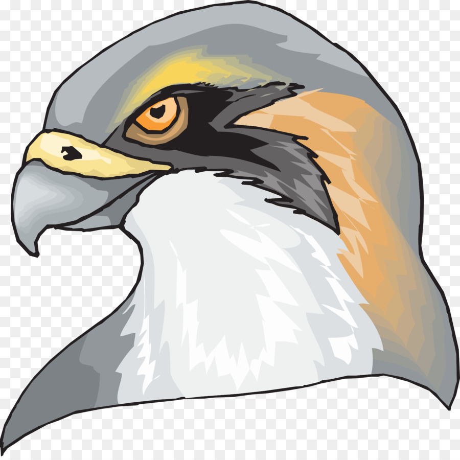 Hawk，Aigle PNG