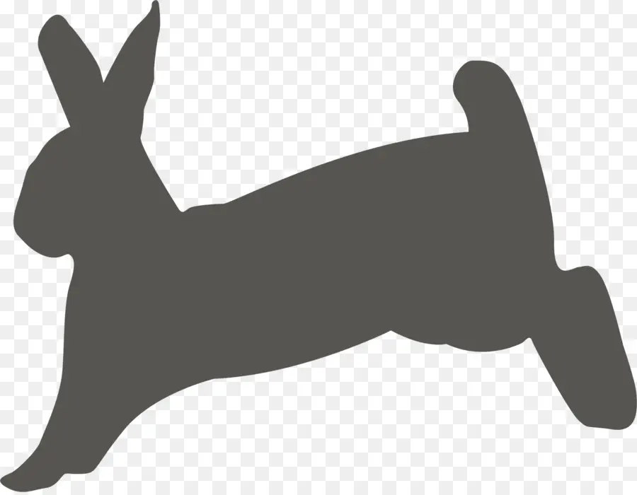 Silhouette De Lapin，Lapin PNG