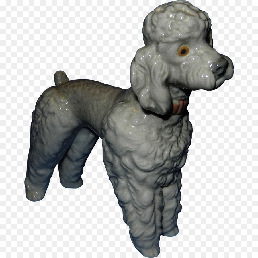 Caniche，Grand Caniche PNG