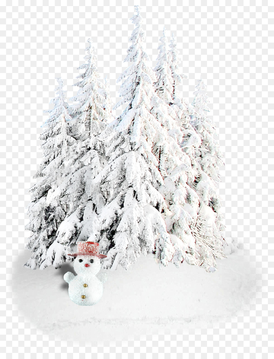 Bonhomme De Neige，Neige PNG