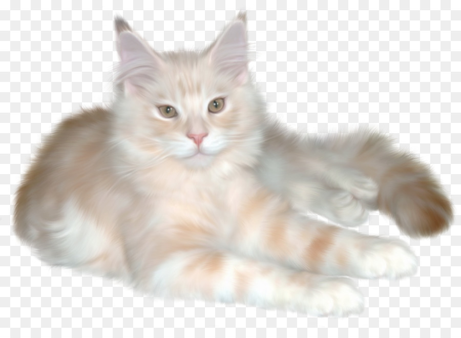 Chat Moelleux，Animal De Compagnie PNG