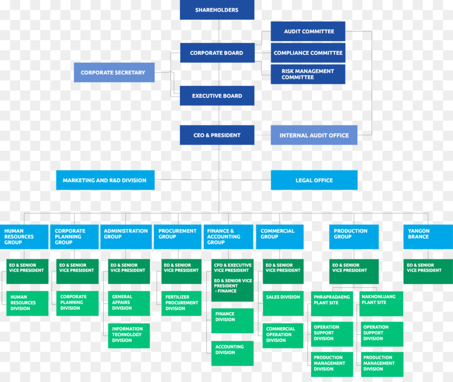 Organigramme，Structure PNG