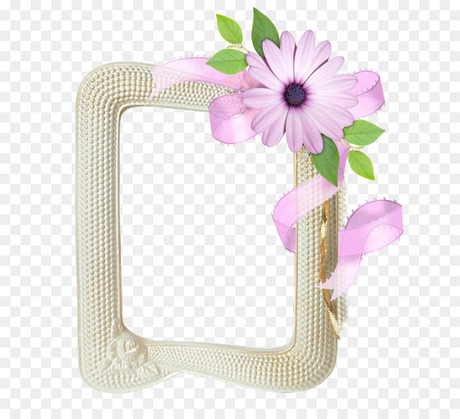 Cadre Décoratif，Fleur PNG