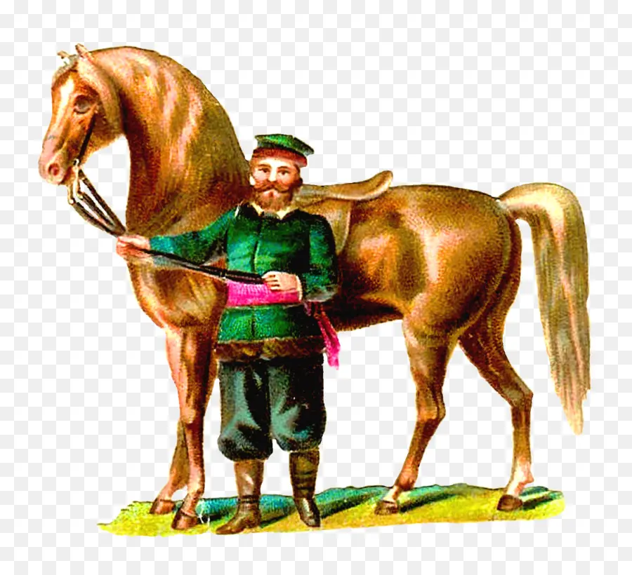 Homme Avec Cheval，Cavalier PNG