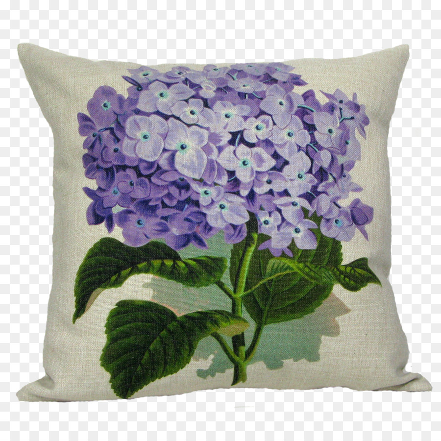 Hortensia，Couleur PNG