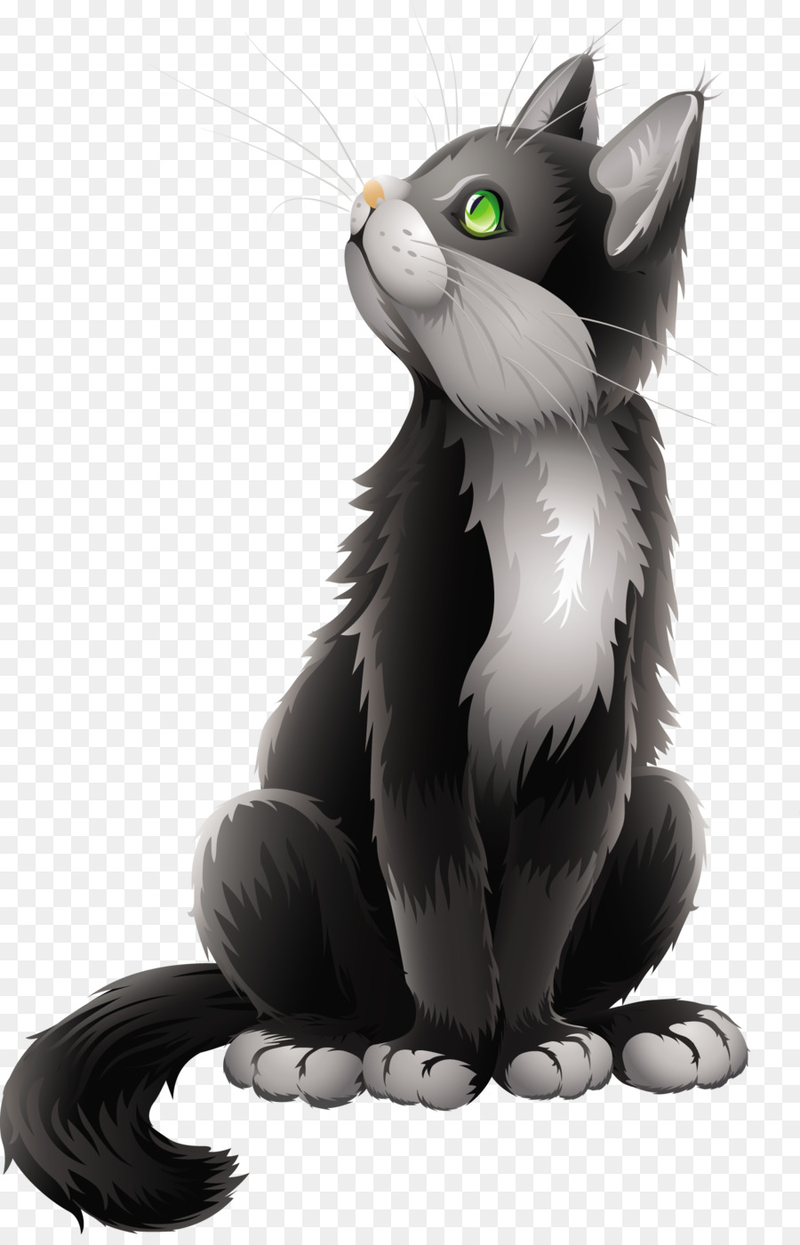 Chat Noir Et Blanc，Animal De Compagnie PNG