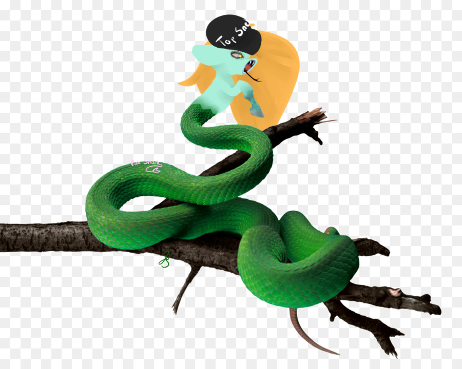 Serpent，Lisse Serpent Vert PNG