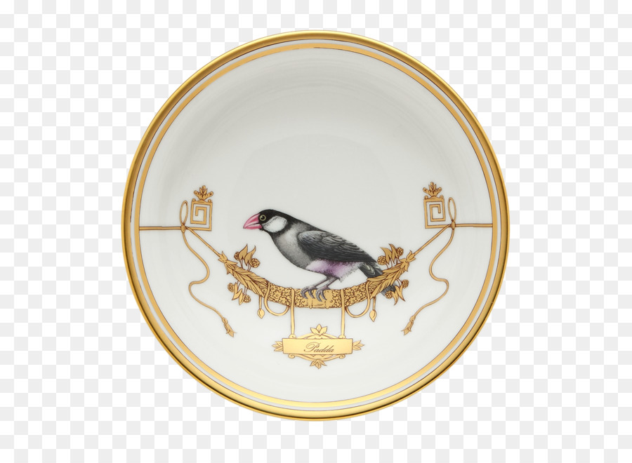 Porcelaine De Doccia，Porcelaine PNG