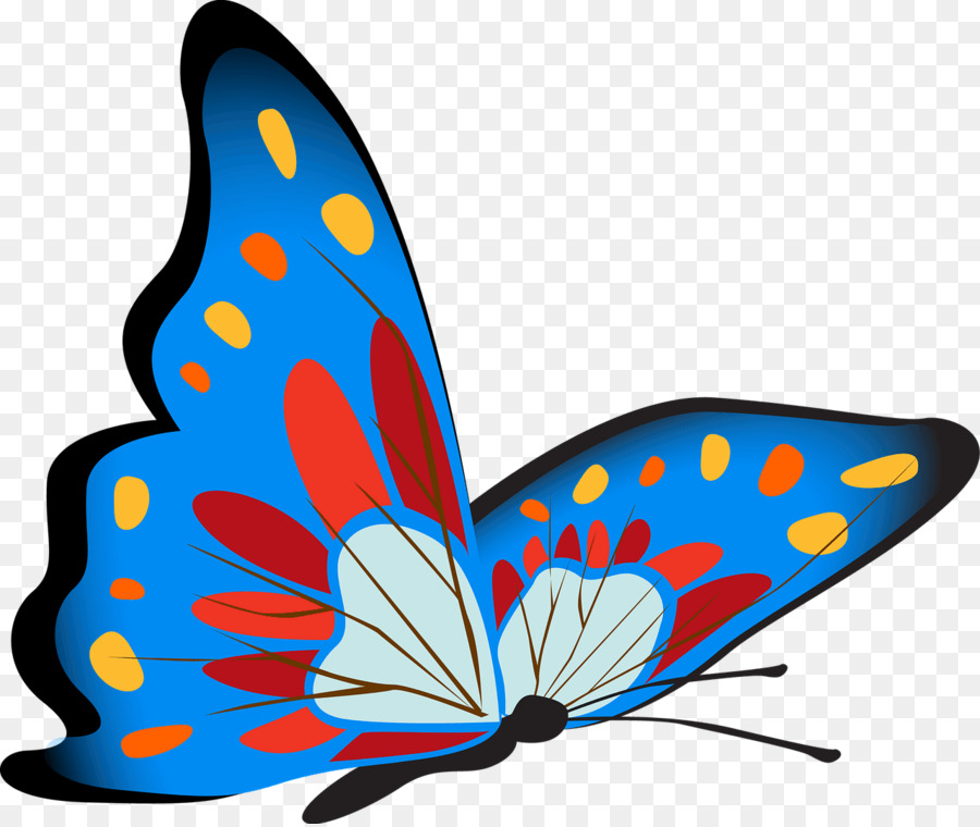 Papillon Coloré，Insecte PNG