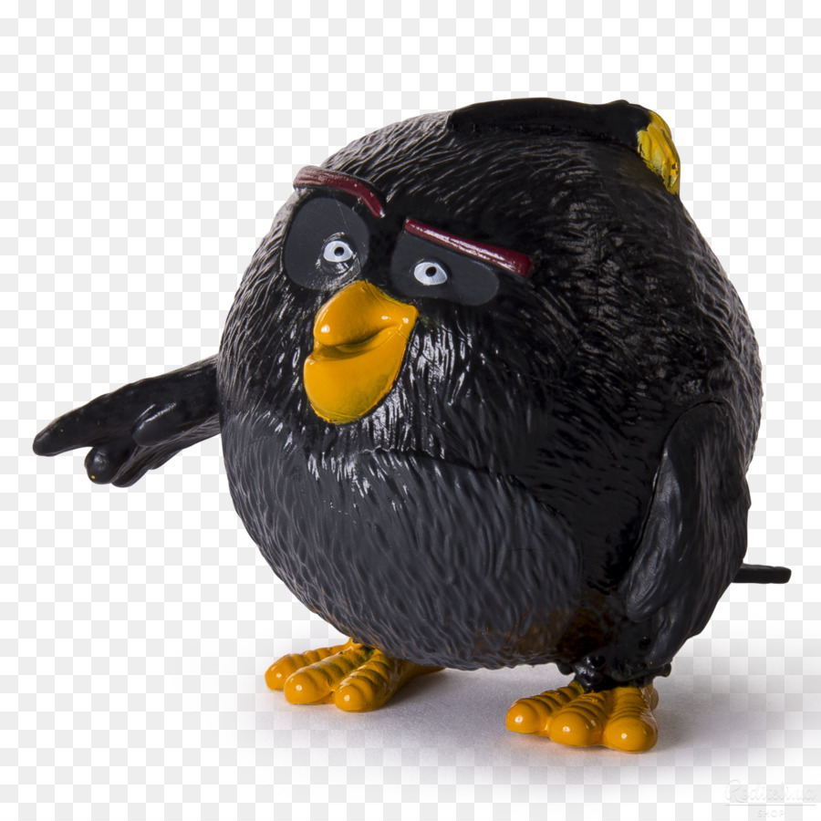 Oiseau Noir，En Colère PNG