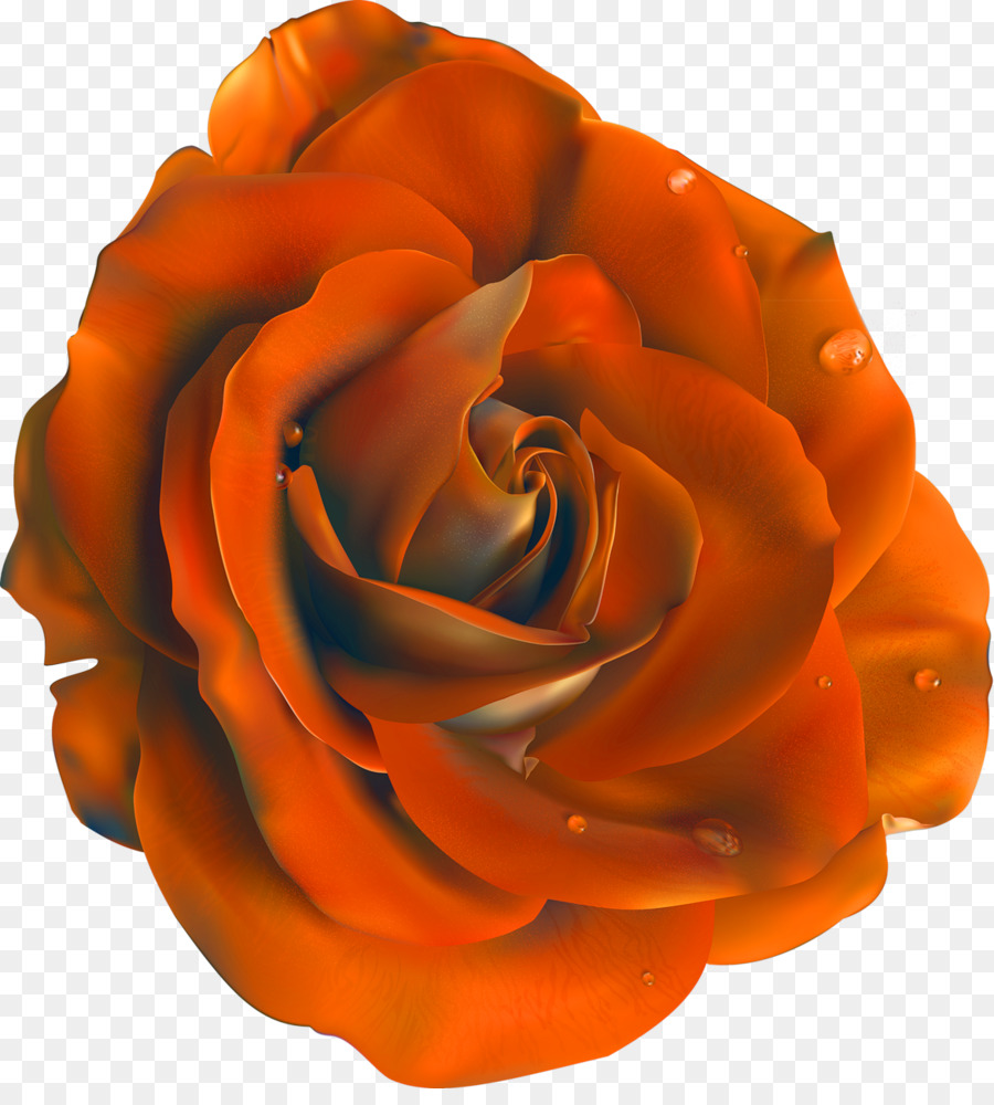 Rose Au Chocolat，Dessert PNG