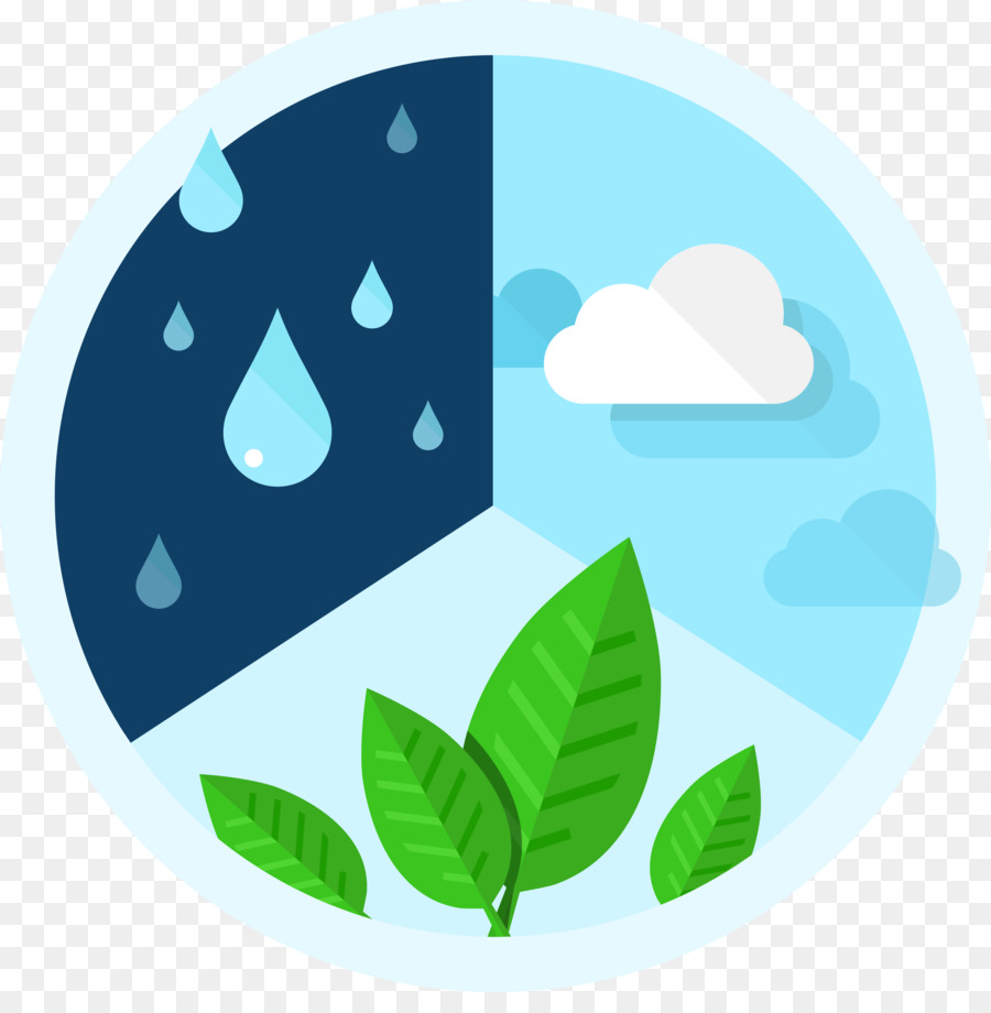 L'eau Et Les Plantes，Pluie PNG