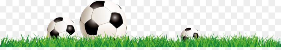 Ballons De Football，Herbe PNG