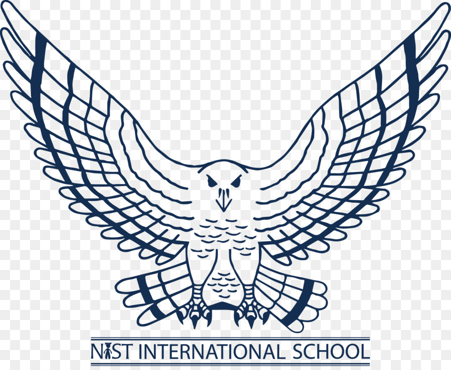 Nist École Internationale，Falcons D Atlanta PNG