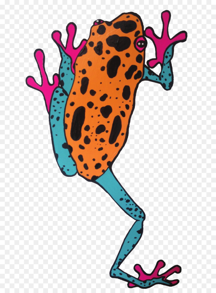 Grenouille，L Art PNG