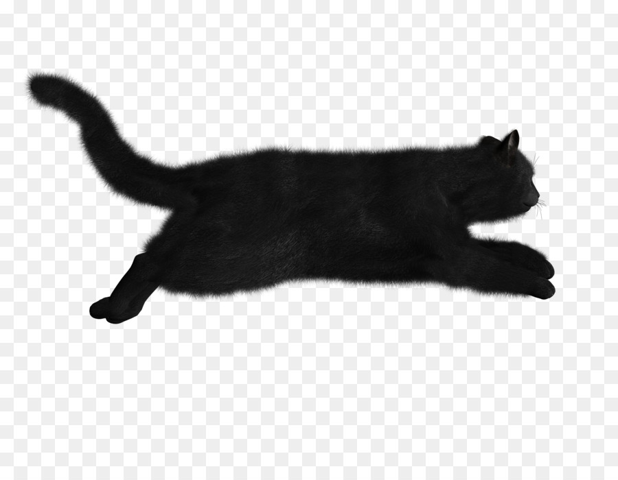 Silhouette De Chat，Animal De Compagnie PNG