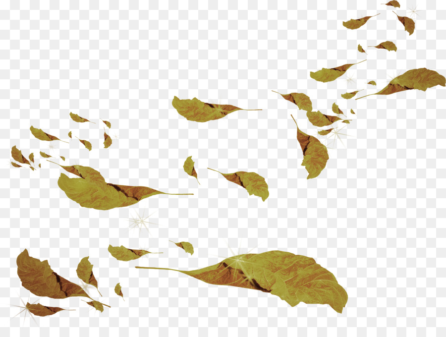 Feuille，Branche PNG