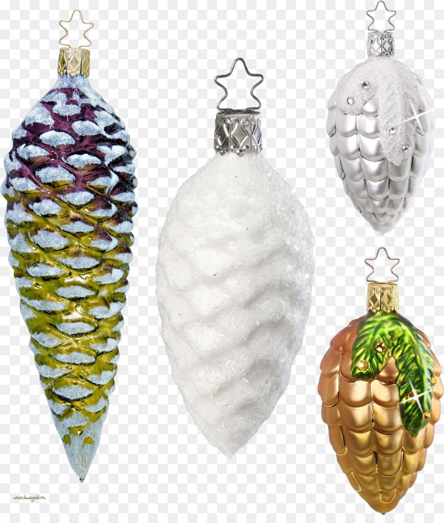 Décoration De Noël，Conifère PNG