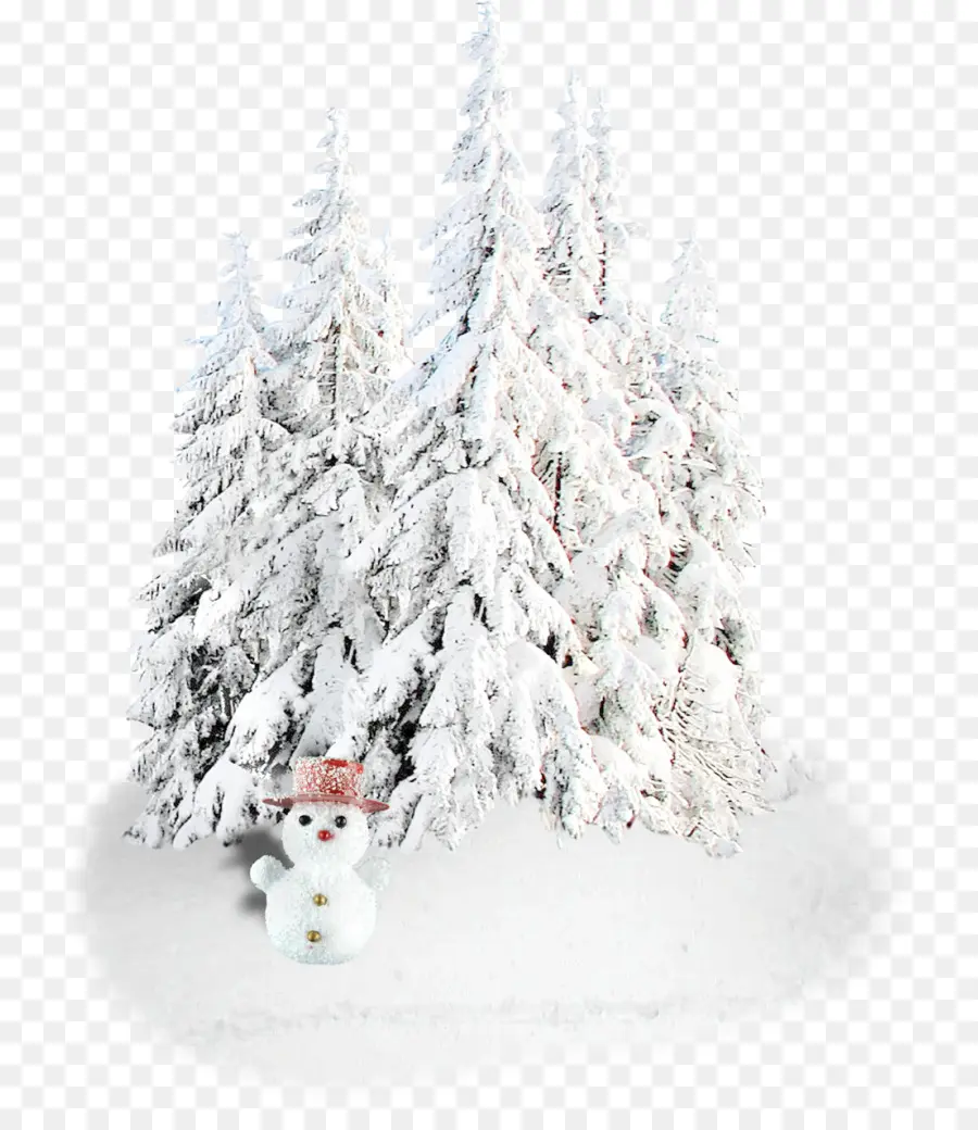 Bonhomme De Neige，Neige PNG