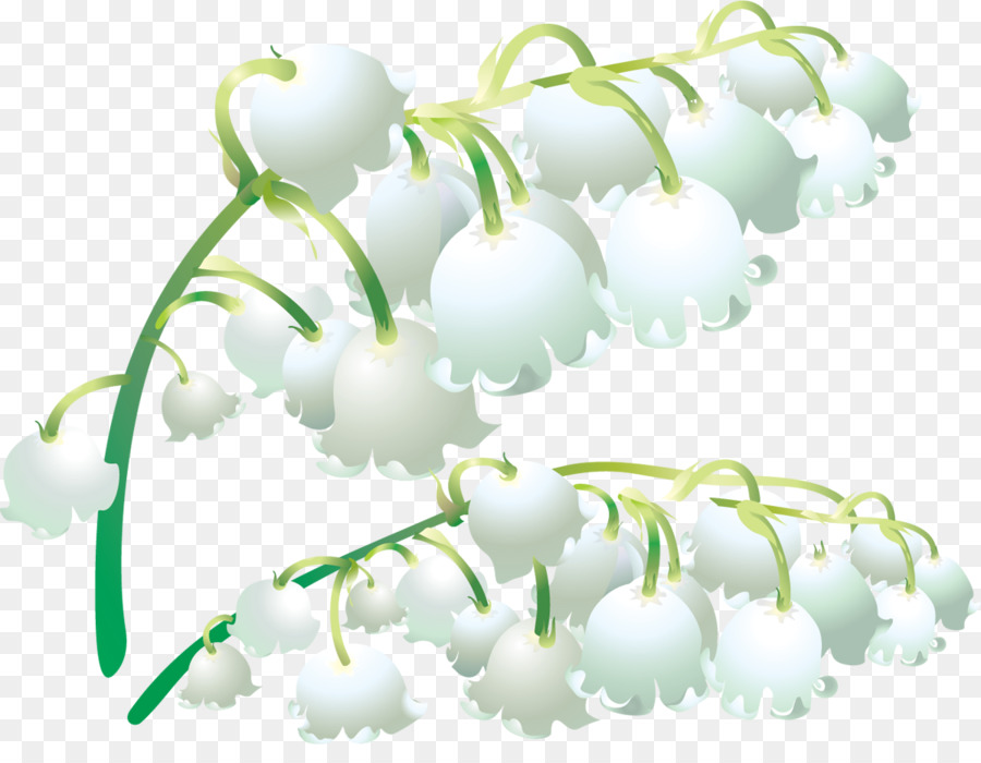 Muguet，Blanc PNG