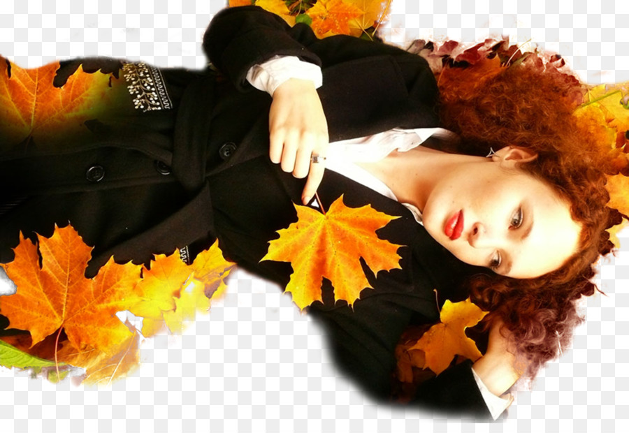 L Automne，Couleur PNG