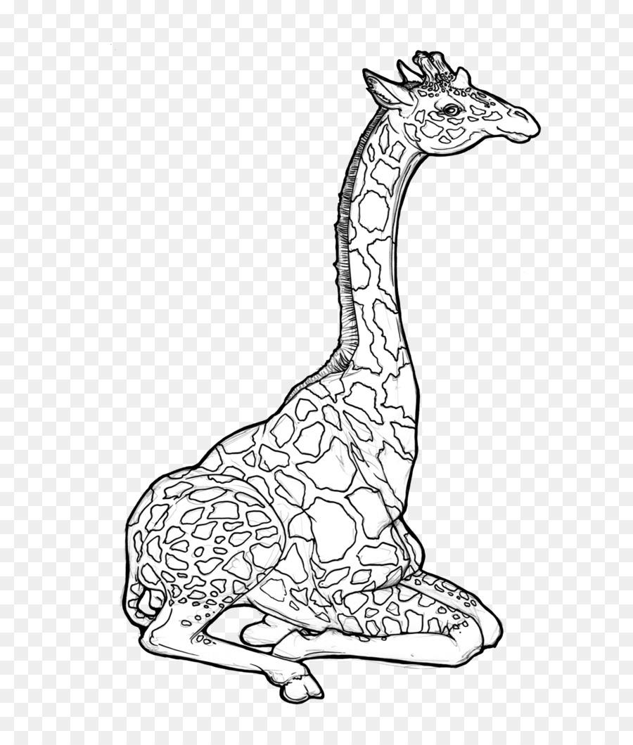 Dessin De Girafe，Faune PNG