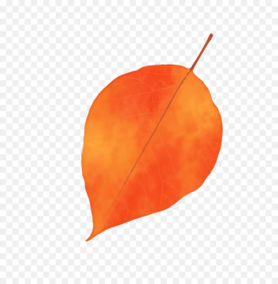 Feuille D'oranger，Automne PNG