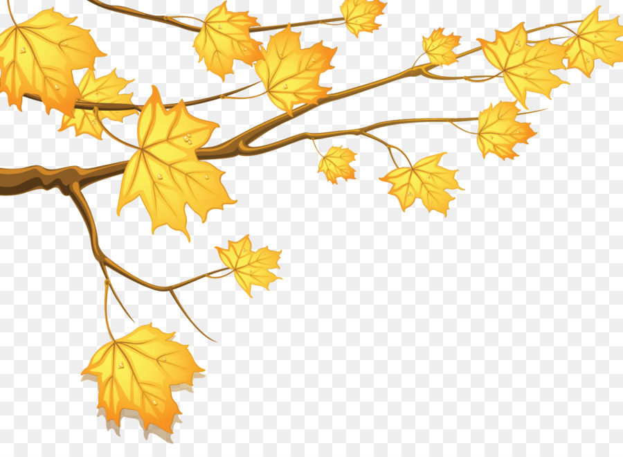 Feuilles D'automne，Automne PNG