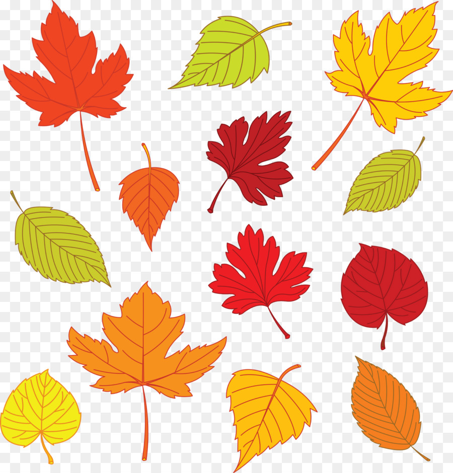 Feuilles D'automne，Automne PNG