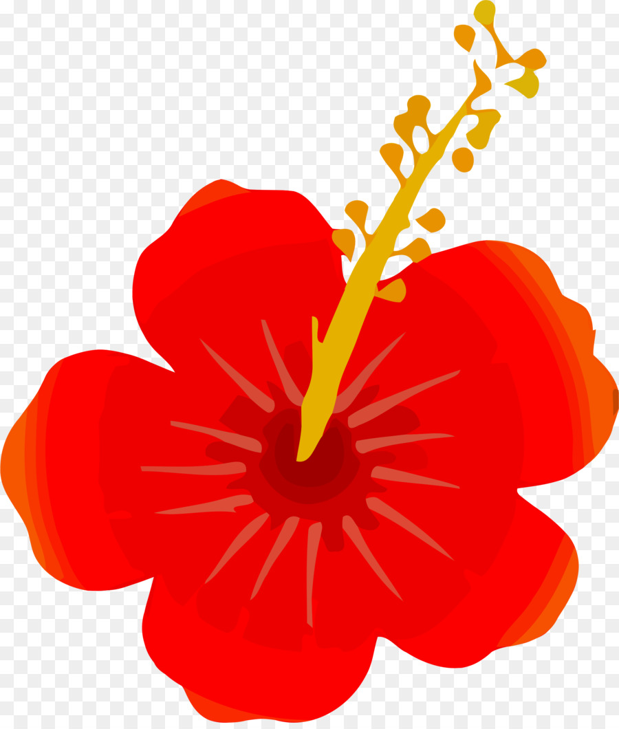 Fleur，Données PNG