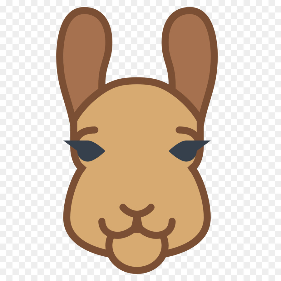 Visage De Lapin，Lapin PNG