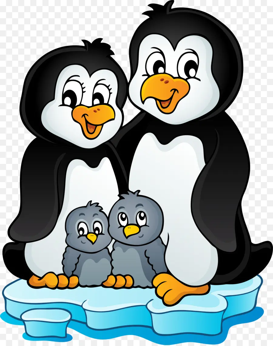 Pingouin，Peut Stock Photo PNG