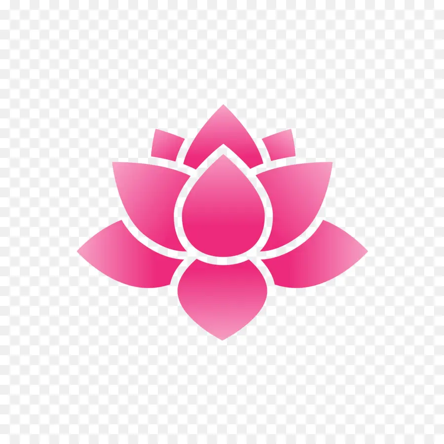 Lotus Rose，Fleurir PNG