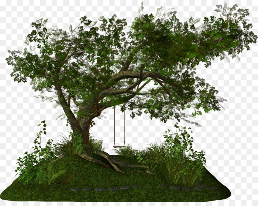 Cabane Dans Les Arbres，Arbre PNG