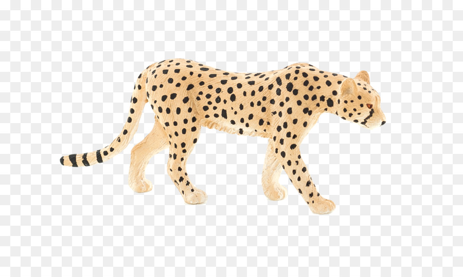 Guépard，Taches PNG