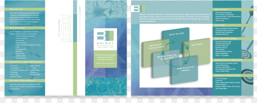 Brochure，Organisation PNG