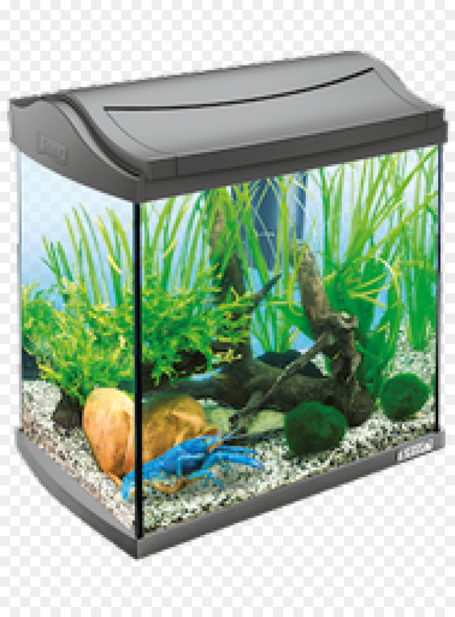 Aquarium，Eau PNG