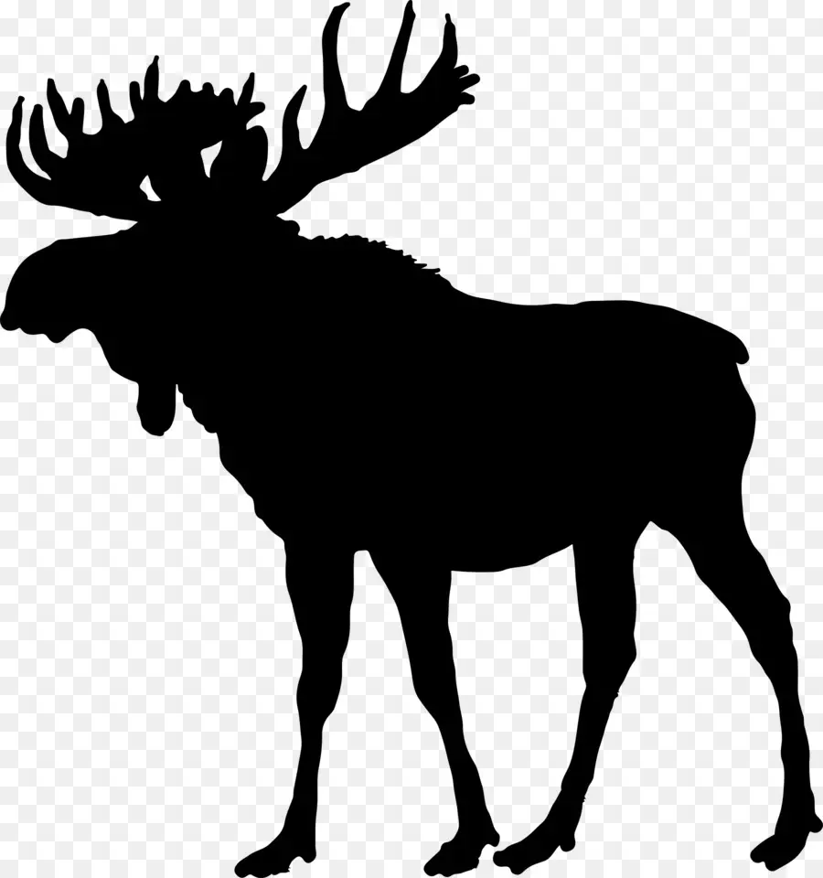 Wapiti，Bois PNG