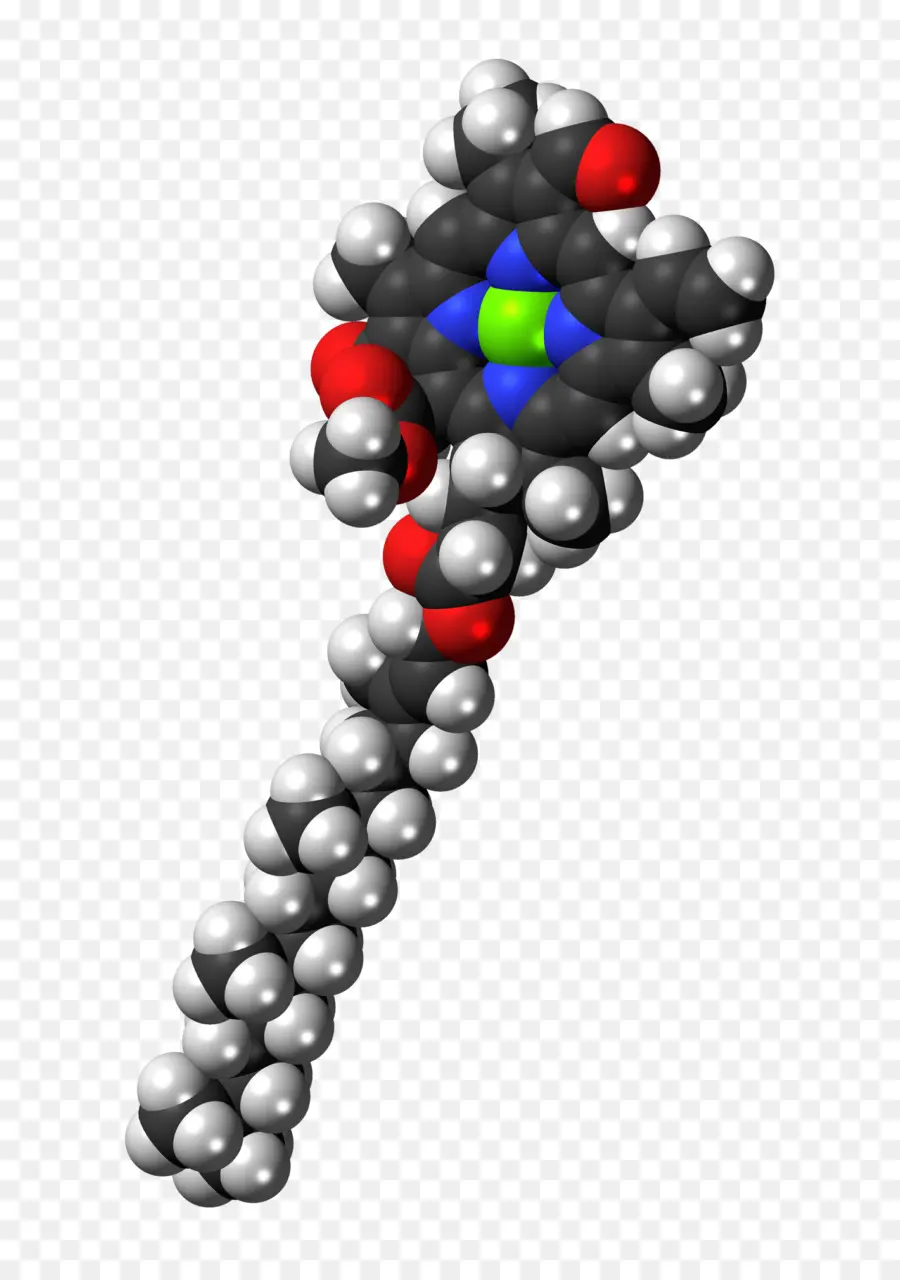 Structure Moléculaire，Chimique PNG