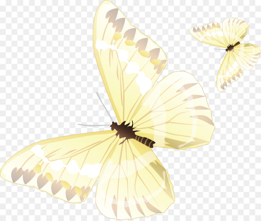 Papillon，Couleur PNG