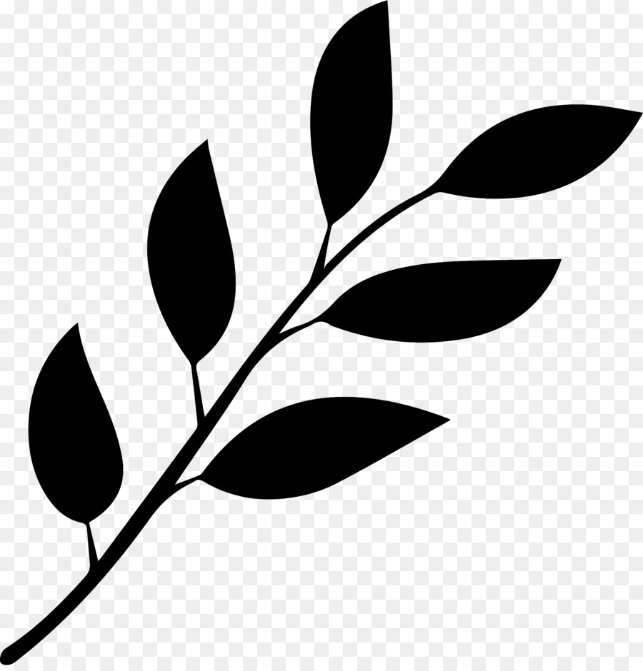 Feuille Noire，Nature PNG