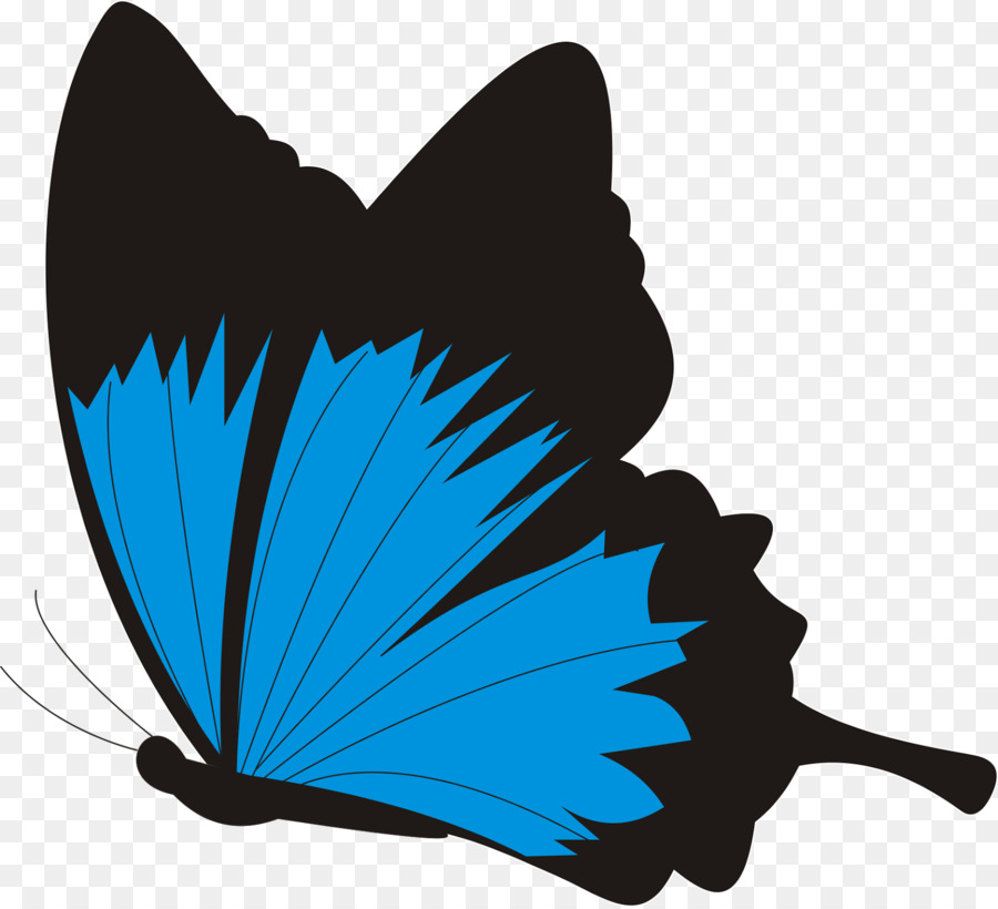 Papillon Bleu Et Noir，Bleu PNG