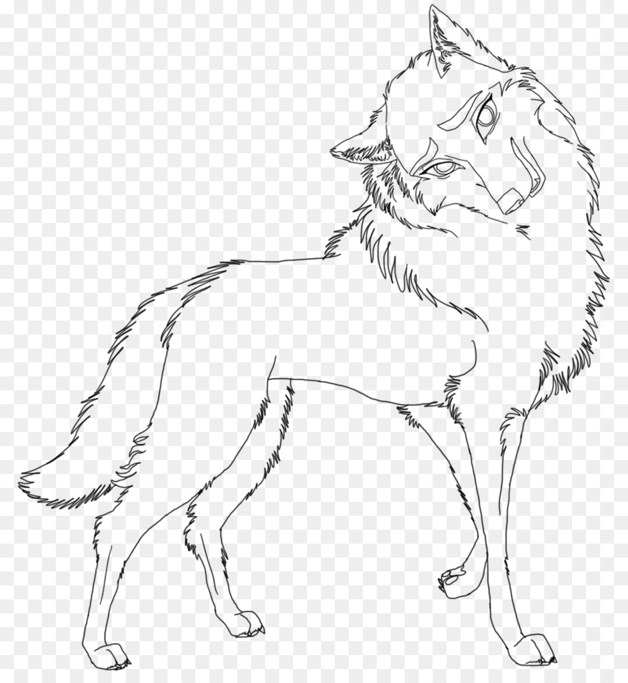 Loup，Blanc PNG