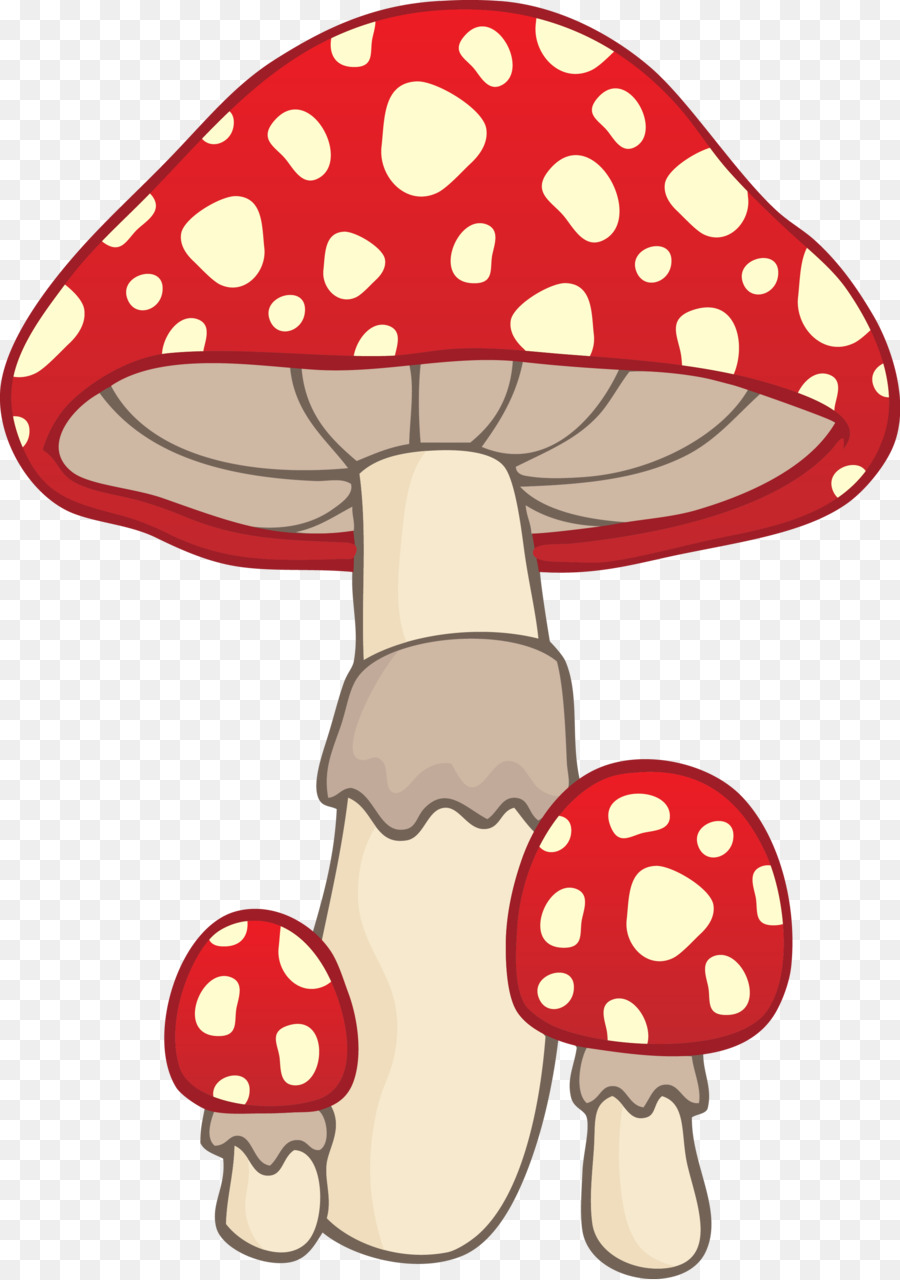 Champignons Rouges，Champignons PNG