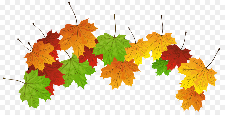 Feuilles D'automne，Automne PNG