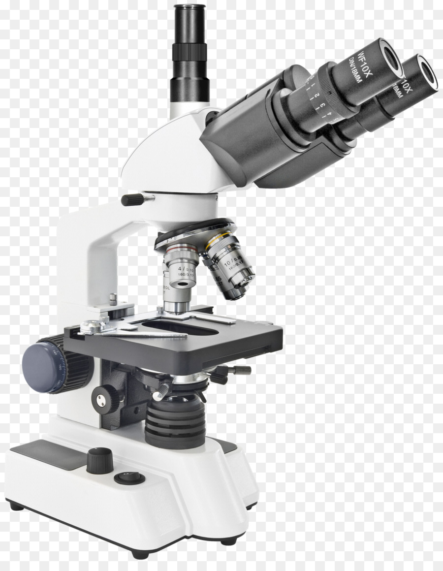 Microscope，Oculaire PNG
